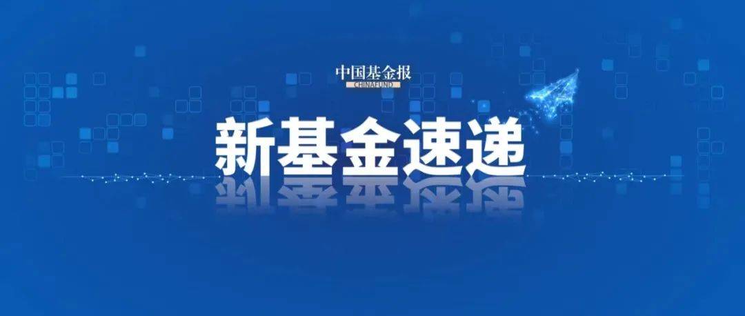 财经观察｜访客倍增股市回暖 香港经济近期亮点频现
