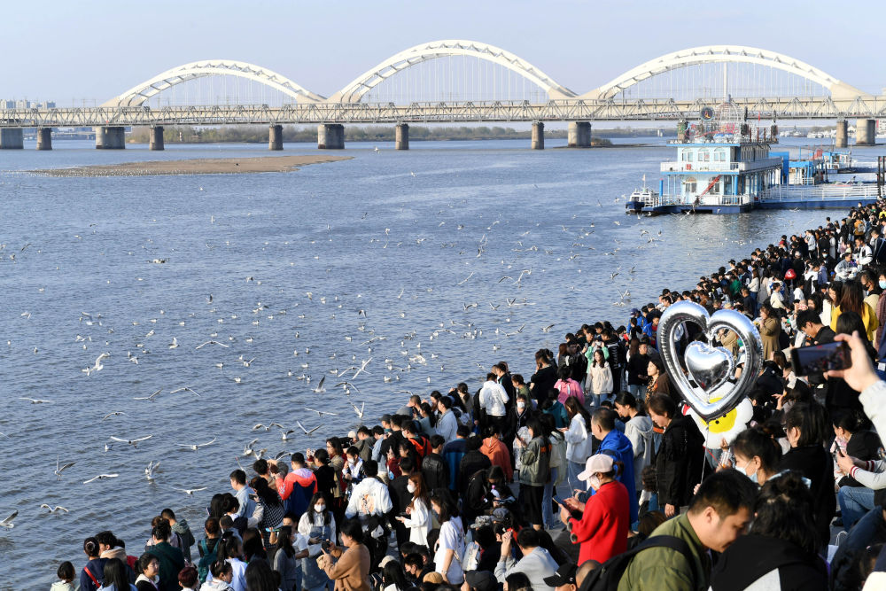 “五一”假期日均访澳旅客人次同比增23.2%
