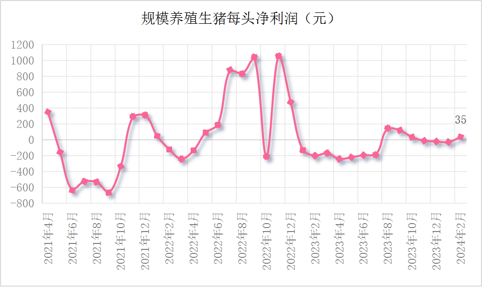 （2024年5月7日）今日生猪期货最新价格查询