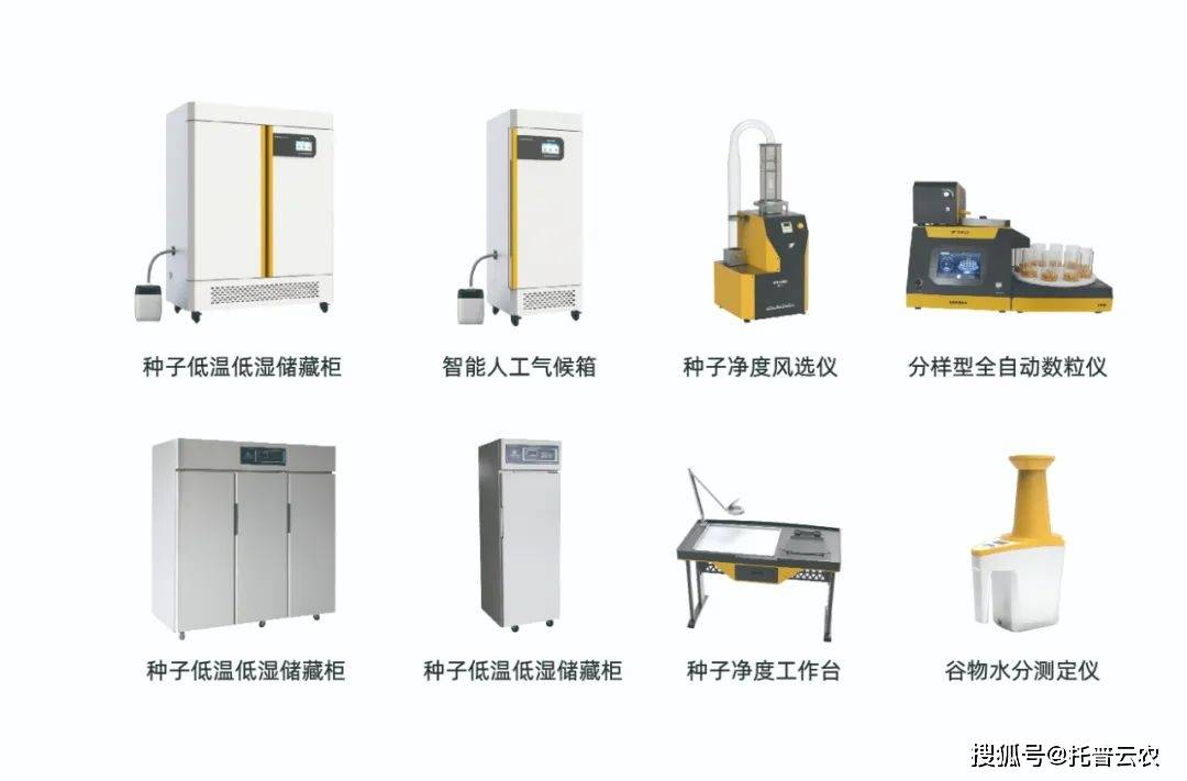 我国高含油量油菜育种取得新突破