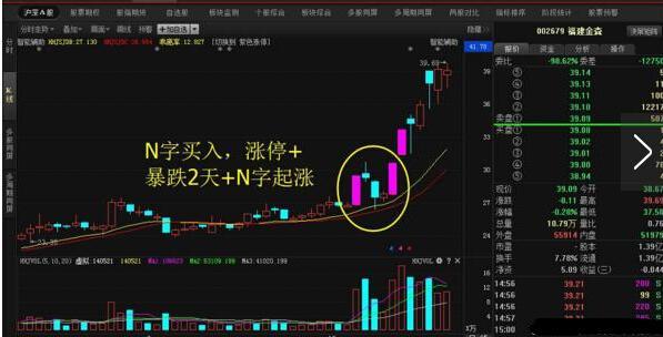 福建金森：接受广大投资者调研