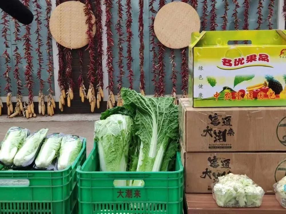 人保伴您前行,拥有“如意行”驾乘险，出行更顺畅！_农产品批发市场产业链及前景趋势分析