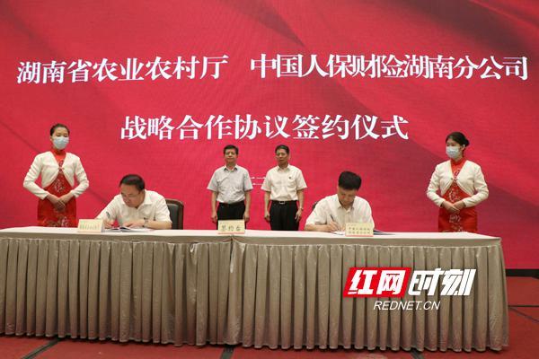 中国面食消费需求调研及市场发展情况分析_人保财险政银保 ,人保服务