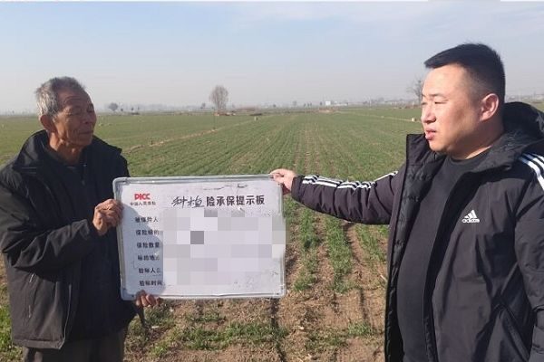 保险有温度,人保财险 _海洋能开发行业市场政策及深度调研分析