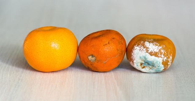 烂水果没坏的部分能吃吗？