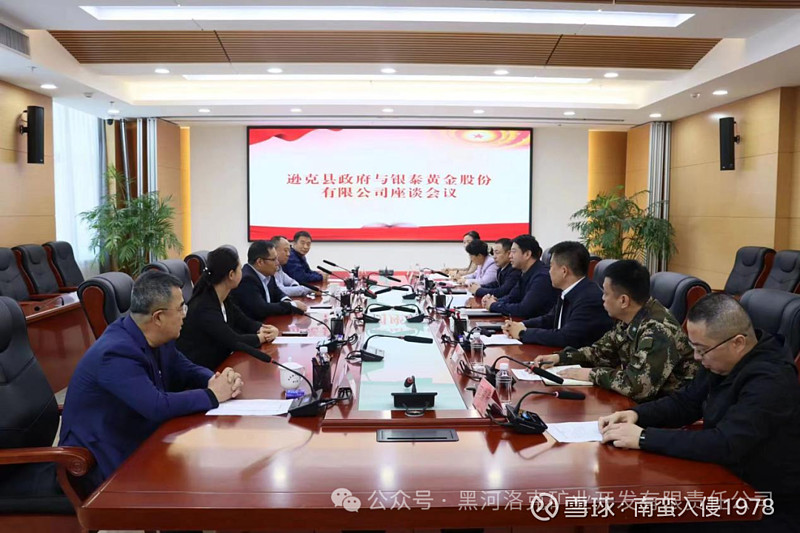 因个人资金需求 银泰黄金董事拟减持公司股份不超过0.6亿股