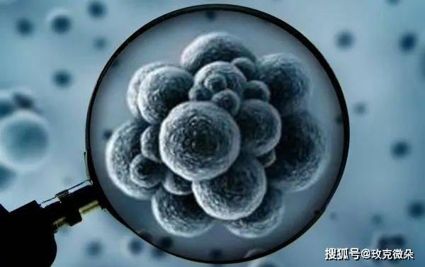 云太医周立华教授：慢病治疗进程慢，与长期不良生活习惯积累有关