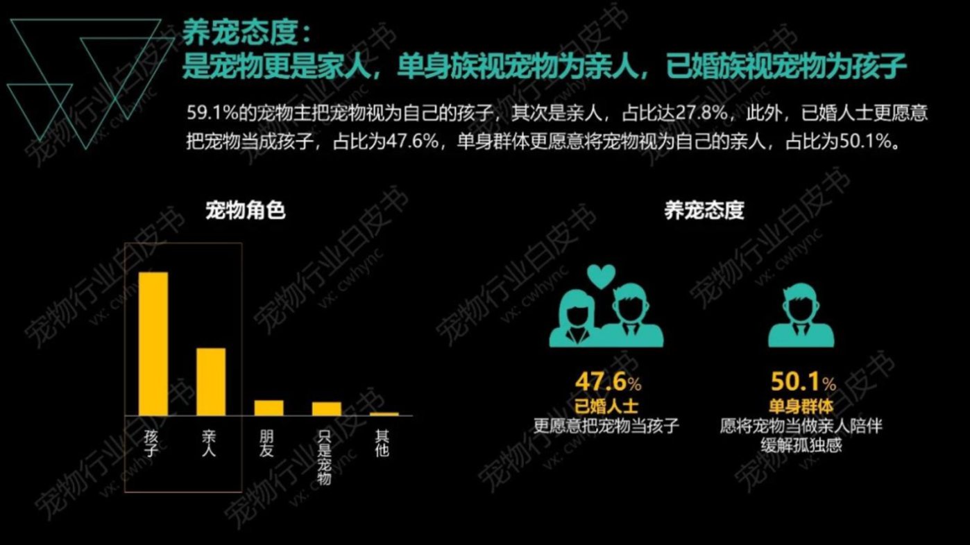 宠物保险行业市场现状及未来发展趋势分析 宠物保险渗透率较低_人保伴您前行,人保财险 