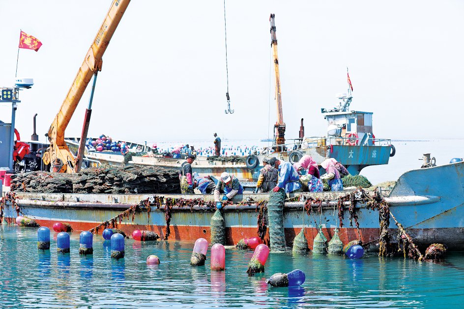 海洋能行业发展现状及供需格局分析2024_人保财险政银保 ,人保服务
