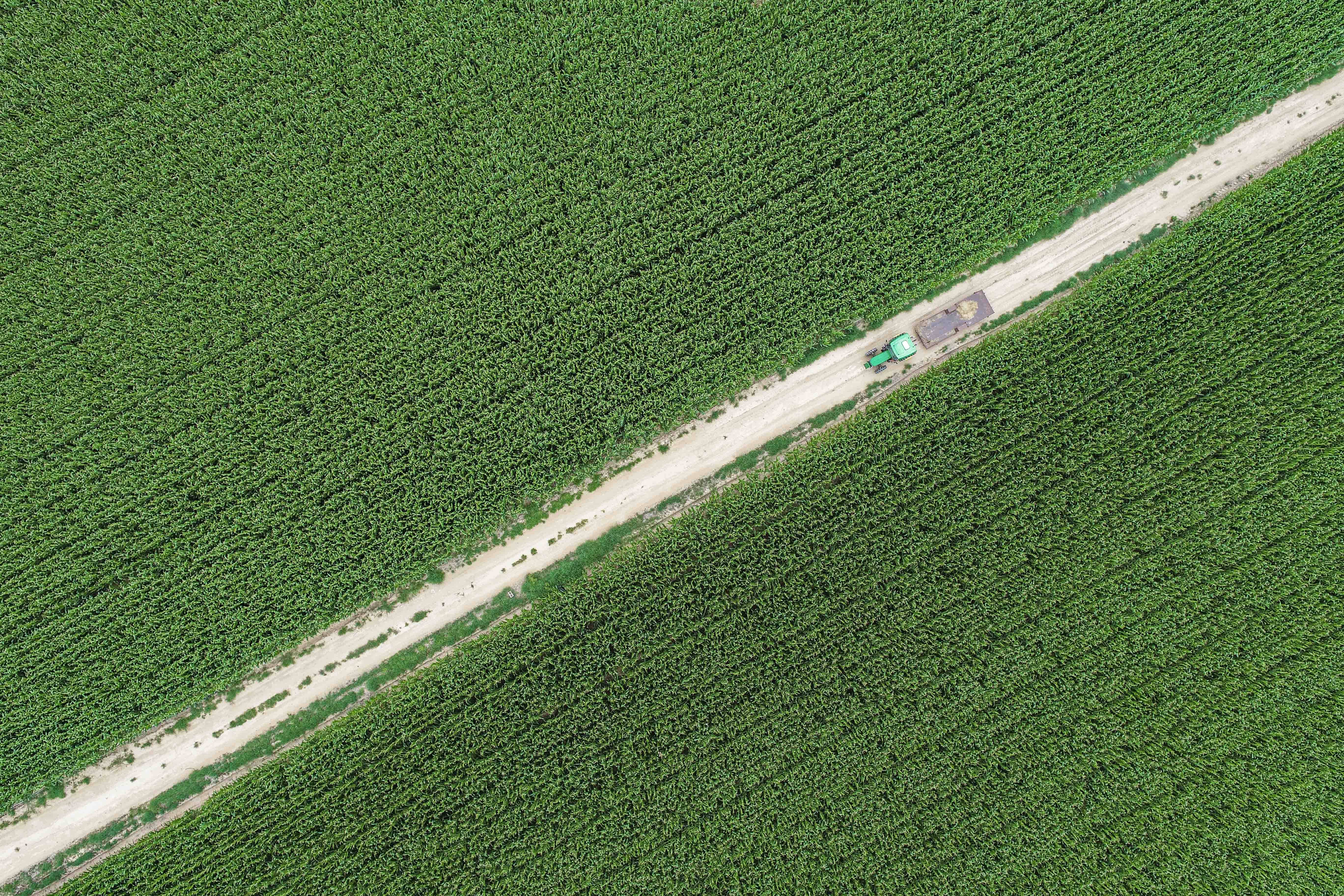 人保财险政银保 ,人保有温度_高标准农田行业未来需求趋势及发展前景分析2024