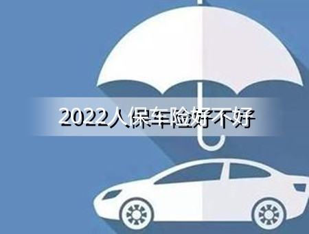 2024鲜花行业现状、前景趋势研究分析_人保车险,人保护你周全