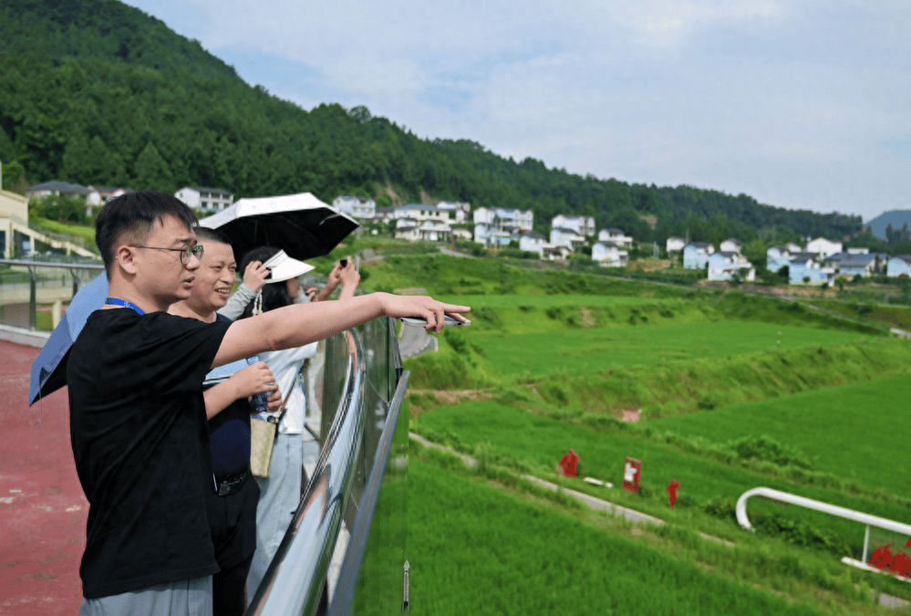 中国网络零售市场深度全景调研及投资前景分析2024_人保车险,人保财险 
