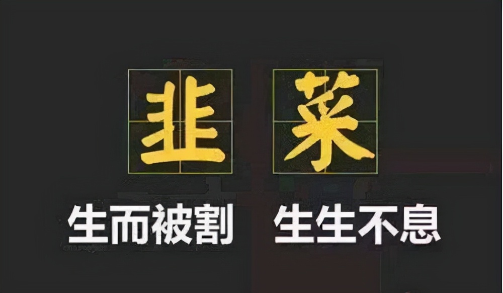 人保伴您前行,人保护你周全_电商平台爬出低价泥潭 电商平台行业市场现状分析