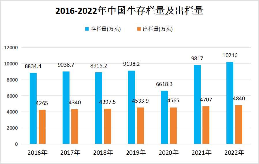 人保服务 ,人保财险政银保 _2024中国功能性饮料行业运营态势及未来投资方向咨询 饮料市场重要细分领域