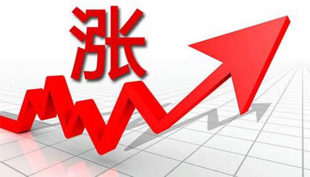 人保服务 ,人保有温度_中国大白菜行业深度调研与发展趋势预测 韩国大白菜供应紧张 价格走高以及随后出现限购现象