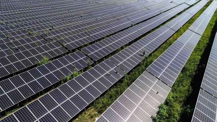 蔗糖行业发展现状及投资趋势预测行业竞争格局分析_人保服务 ,人保财险政银保