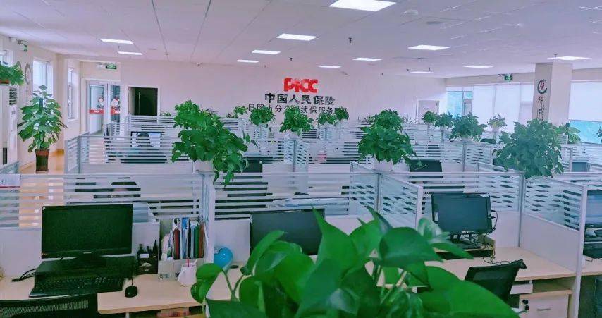 2025年智慧办公行业市场发展现状调查及技术分析_人保车险,人保财险 
