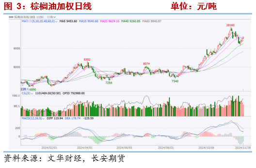 人保车险   品牌优势——快速了解燃油汽车车险,人保有温度_2025棕榈油行业市场发展现状及供需格局、未来趋势分析