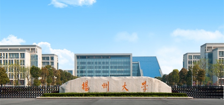 竹笋行业市场深度调研及发展现状、供需格局分析2025_保险有温度,人保财险政银保 