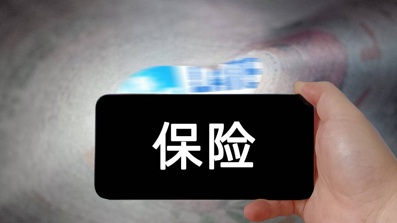 2025中国全域旅游：在“说走就走”的时代，探索“不止于游”的可能_人保服务 ,人保财险 