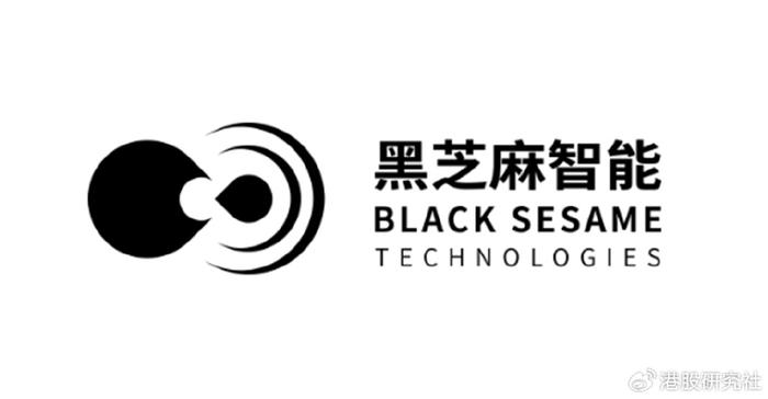 黑芝麻成立新能源服务公司 含集中式快速充电站业务