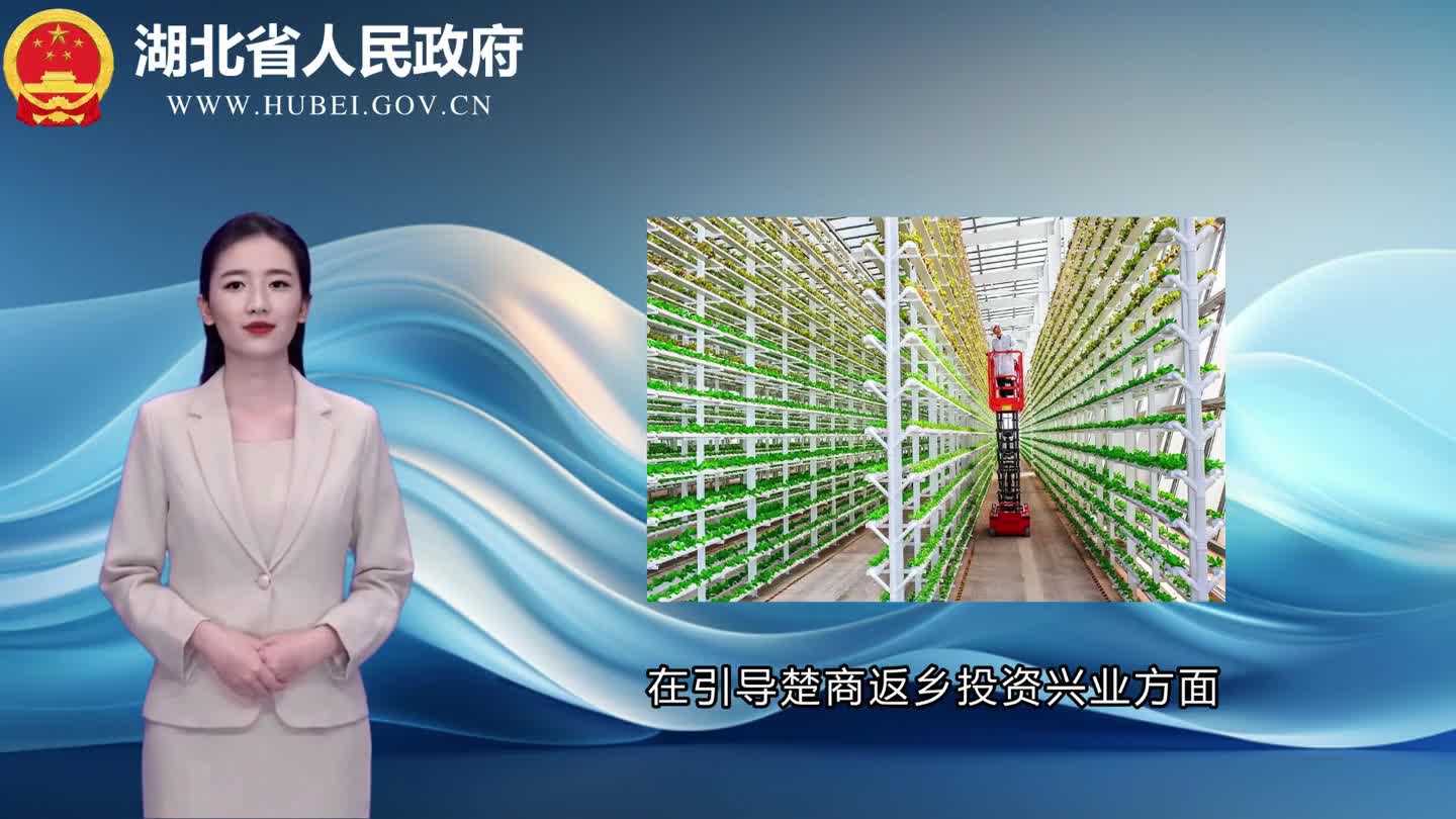 武汉推进楚商回乡 每年新签约楚商投资项目不少于200个
