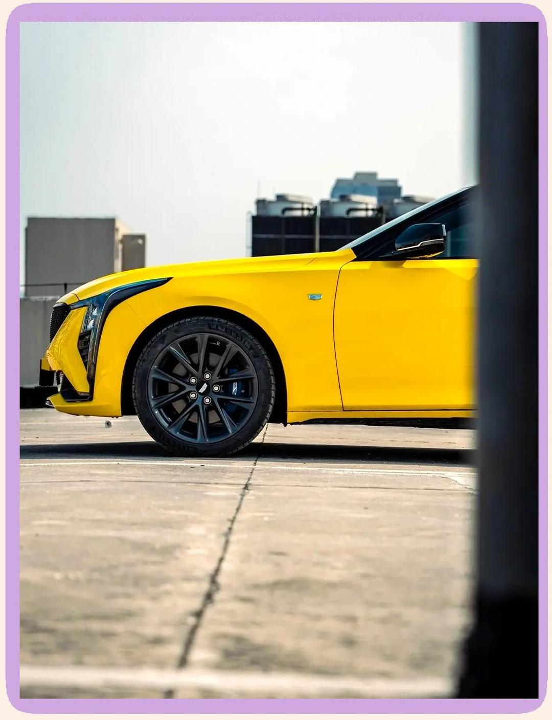 拥有“如意行”驾乘险,出行更顺畅!,人保有温度_2025年出境游行业未来发展趋势:量质齐升