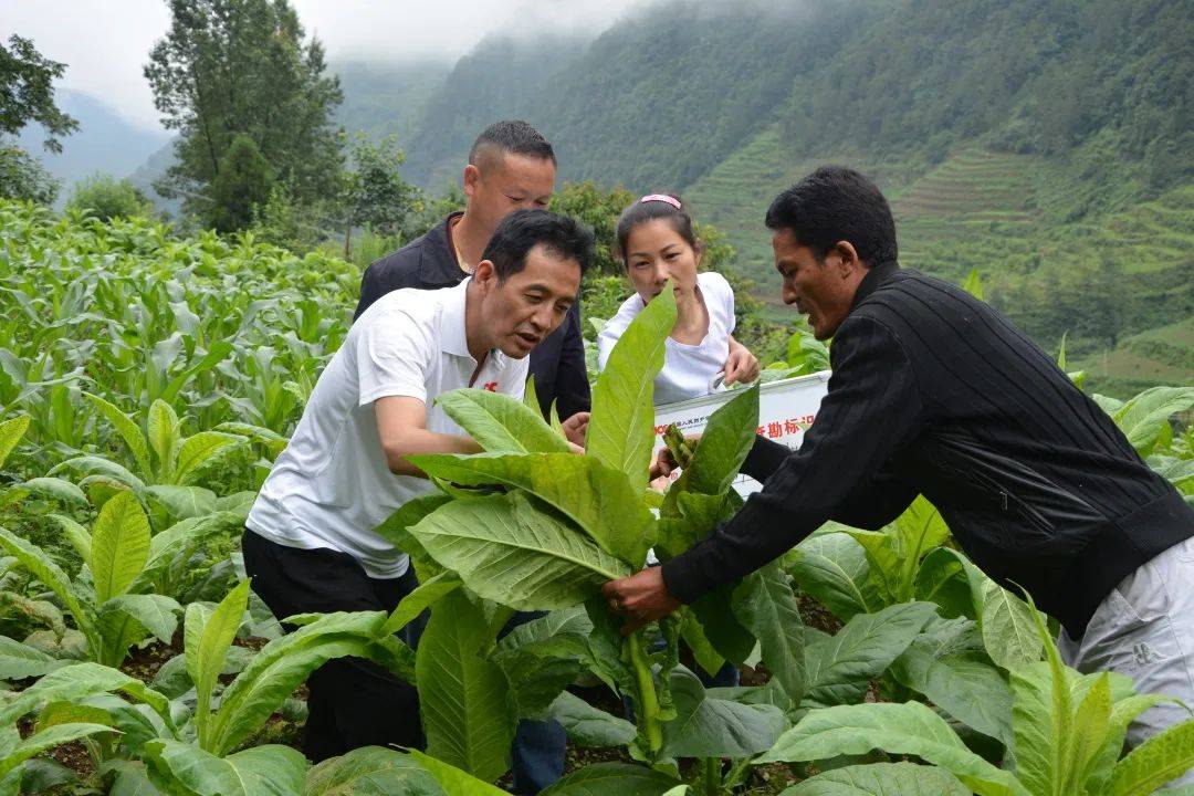 2025年绿色发电行业市场深度分析及投资战略_人保财险 ,人保有温度