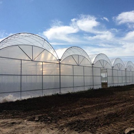 中油工程获得发明专利授权:“薄膜罐吊顶结构及薄膜罐”