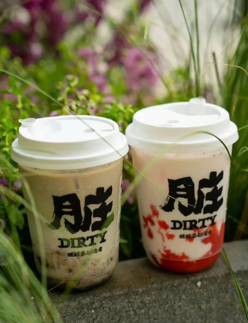 5月28日均瑶健康涨停：植物奶，乳业（奶粉），饮料概念热股