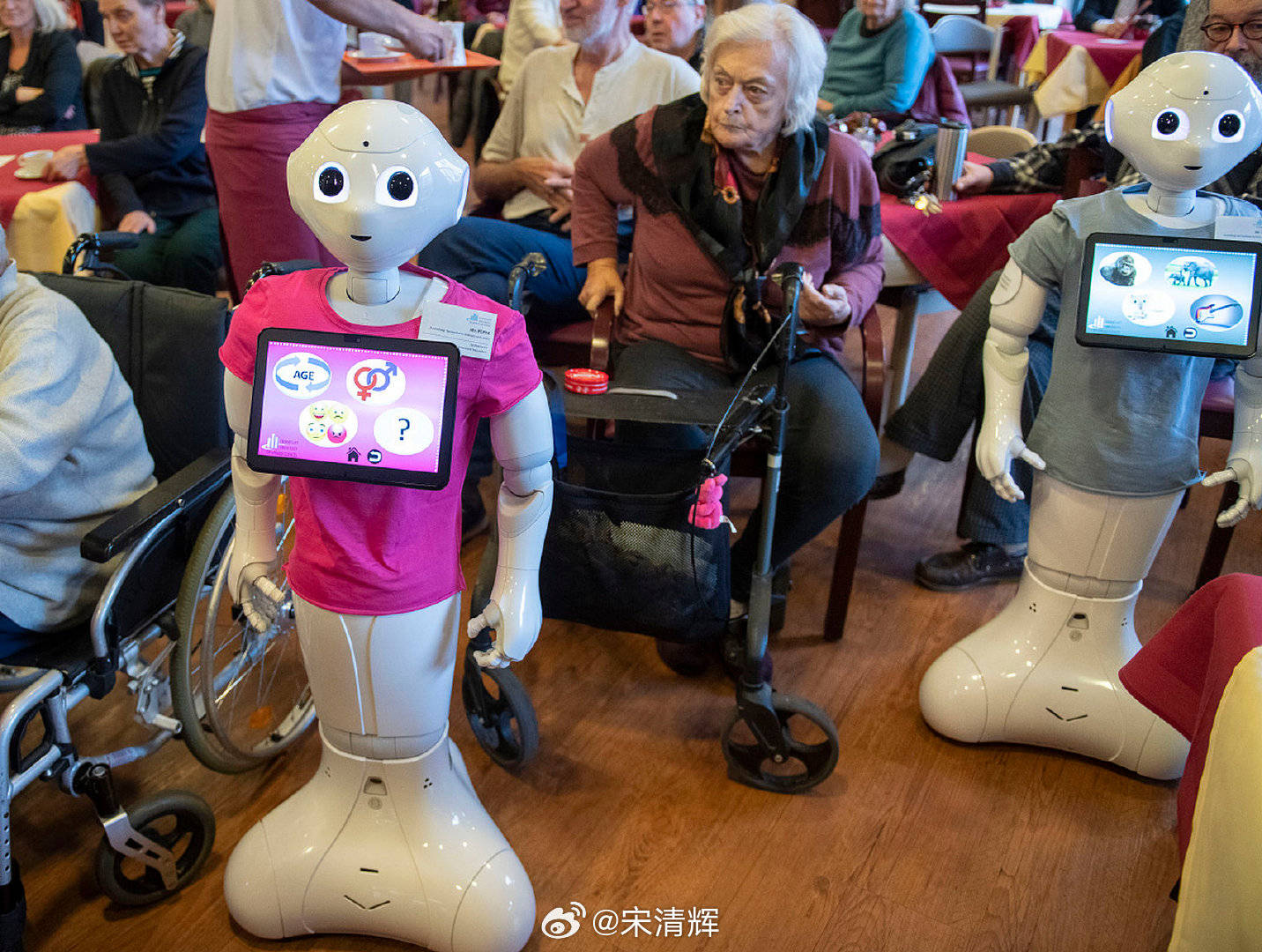 国脉科技:公司基于居家养老场景的AI智能体将在6月份发布