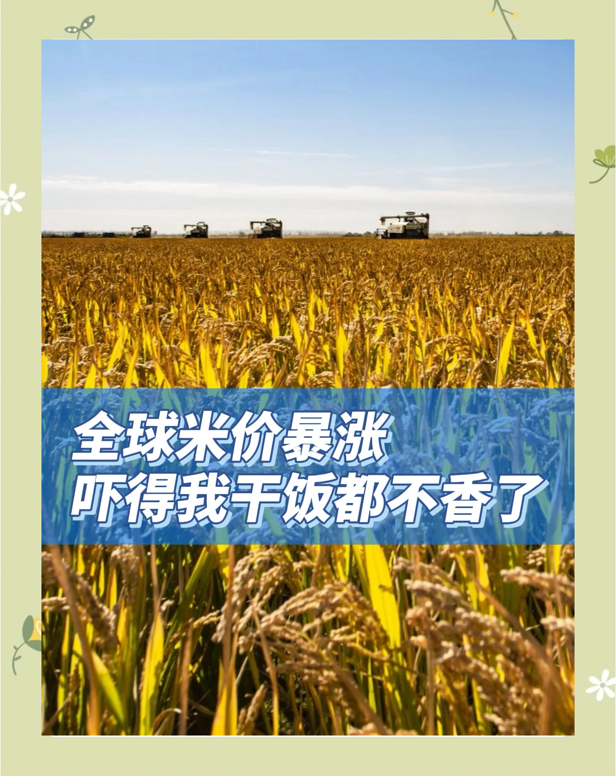 上千人排队“抢米”！日本首相：将彻查米价突然高涨原因