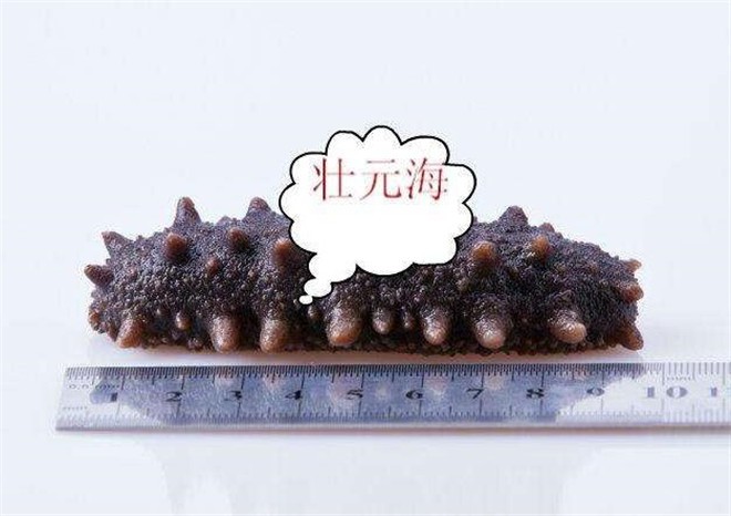 壮元海（833901）：股东孙刚所持1200万股股份解除质押