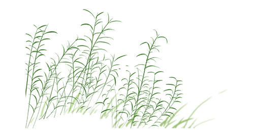 保险有温度,人保护你周全_2025年中国绿色金融行业：把握绿色浪潮，抢占未来先机