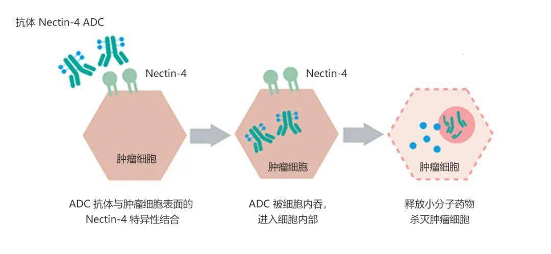 重药控股：盐酸普拉格雷片药物临床试验获受理