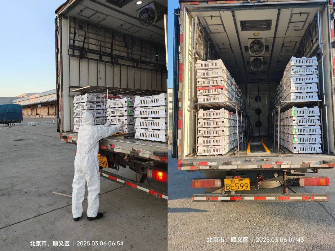 益生股份：目前公司官网益生鸡苗报价2.4元/只，为公司大型白羽肉鸡苗的报价
