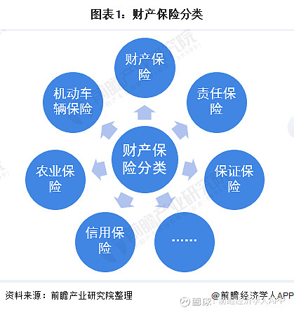 2025年中国眼科行业市场格局及未来发展趋势分析_人保财险 ,人保有温度