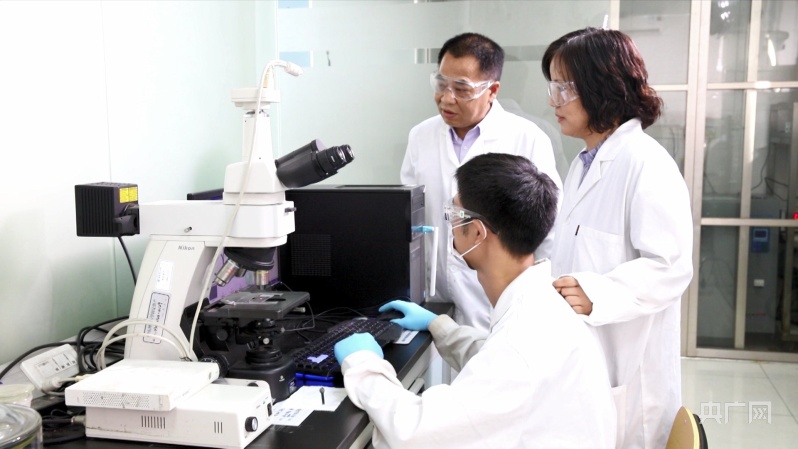 中国科研团队研发出纳米“双光子工厂”