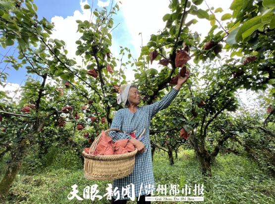 宁夏原州“村BA”开赛 农文旅消费“火”遍乡野