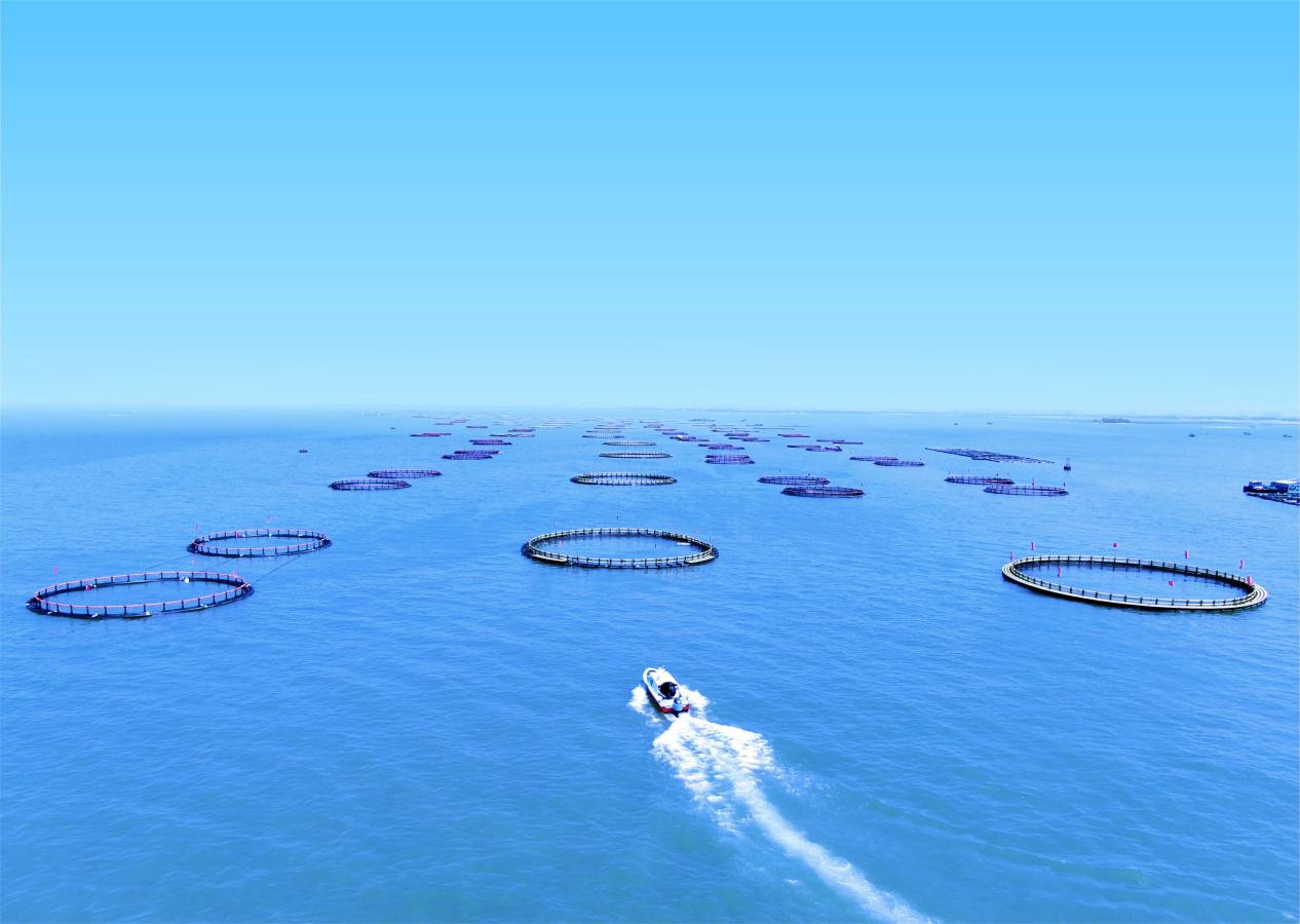 大连：积极培育海洋新质生产力 大力发展深远海养殖、船舶与海工装备制造产业