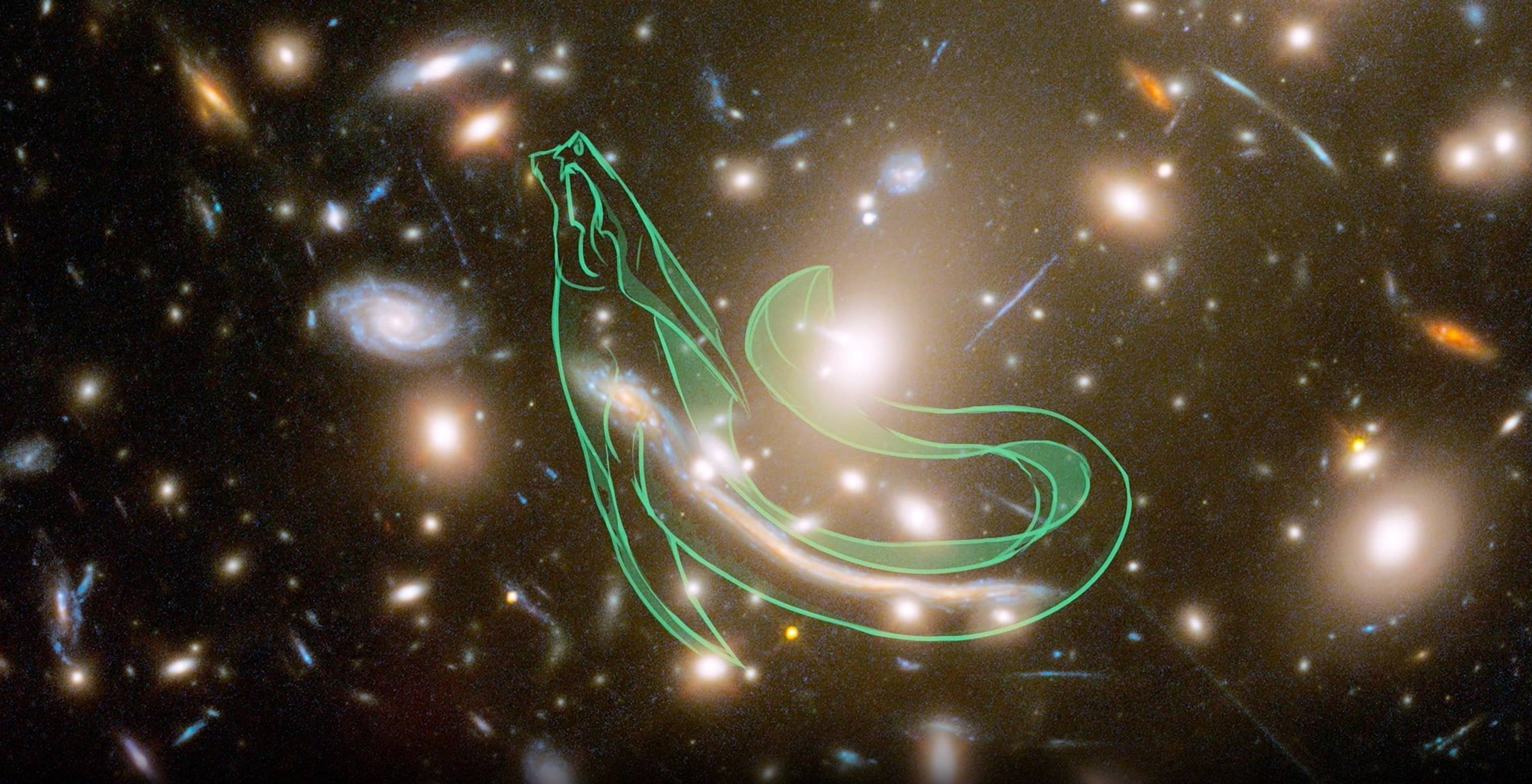 天文学家首次给诞生中的恒星系统拍“快照”