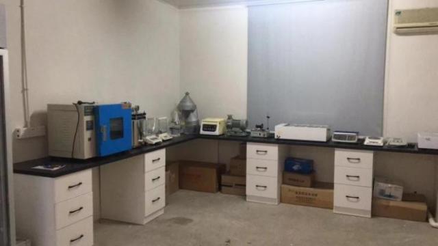 人保车险,人保财险 _2025年石油炼化行业：转型阵痛与结构性调整并存