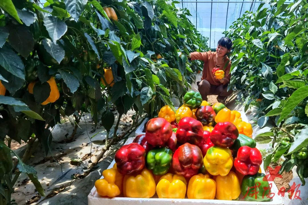 农业农村部:将会同相关部门大力拓宽农产品消费渠道 丰富消费场景