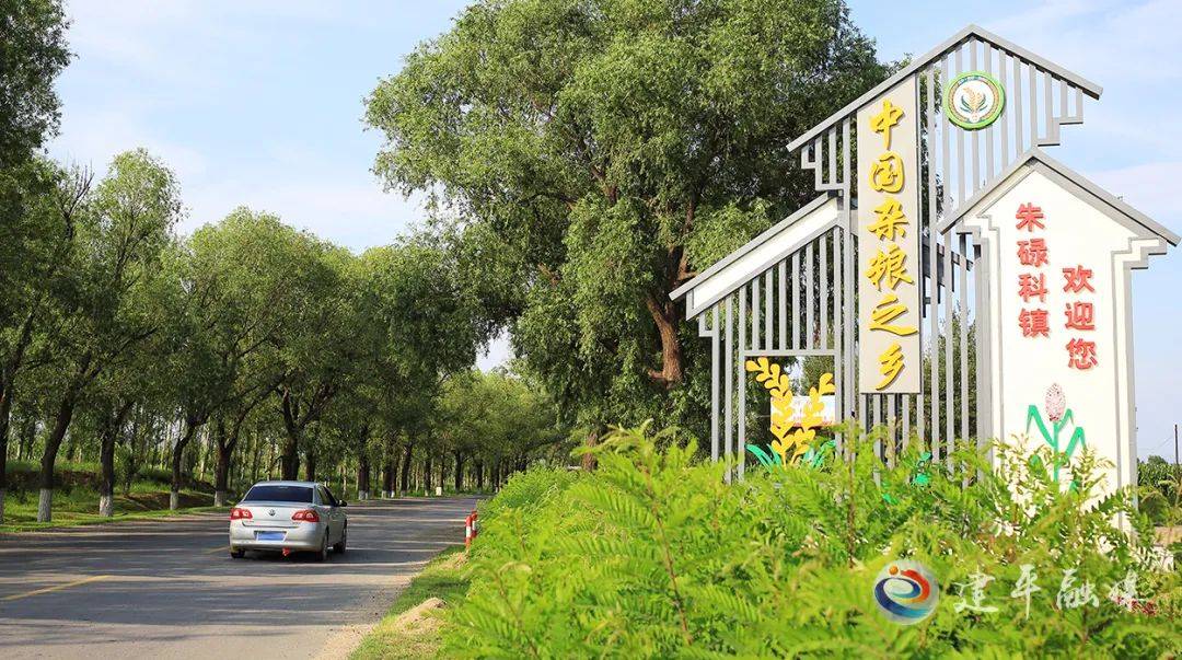 26岁张媛媛当选“全国重点镇”副镇长,4年前参加工作