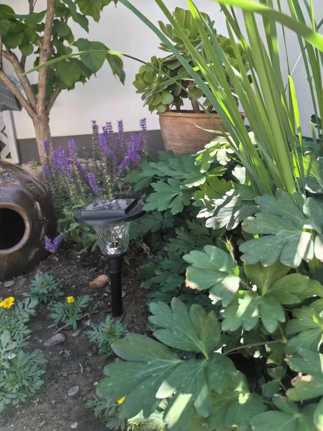 对话密云民宿从业者:凌晨4点“围墙塌了”,提前歇业劝走游客