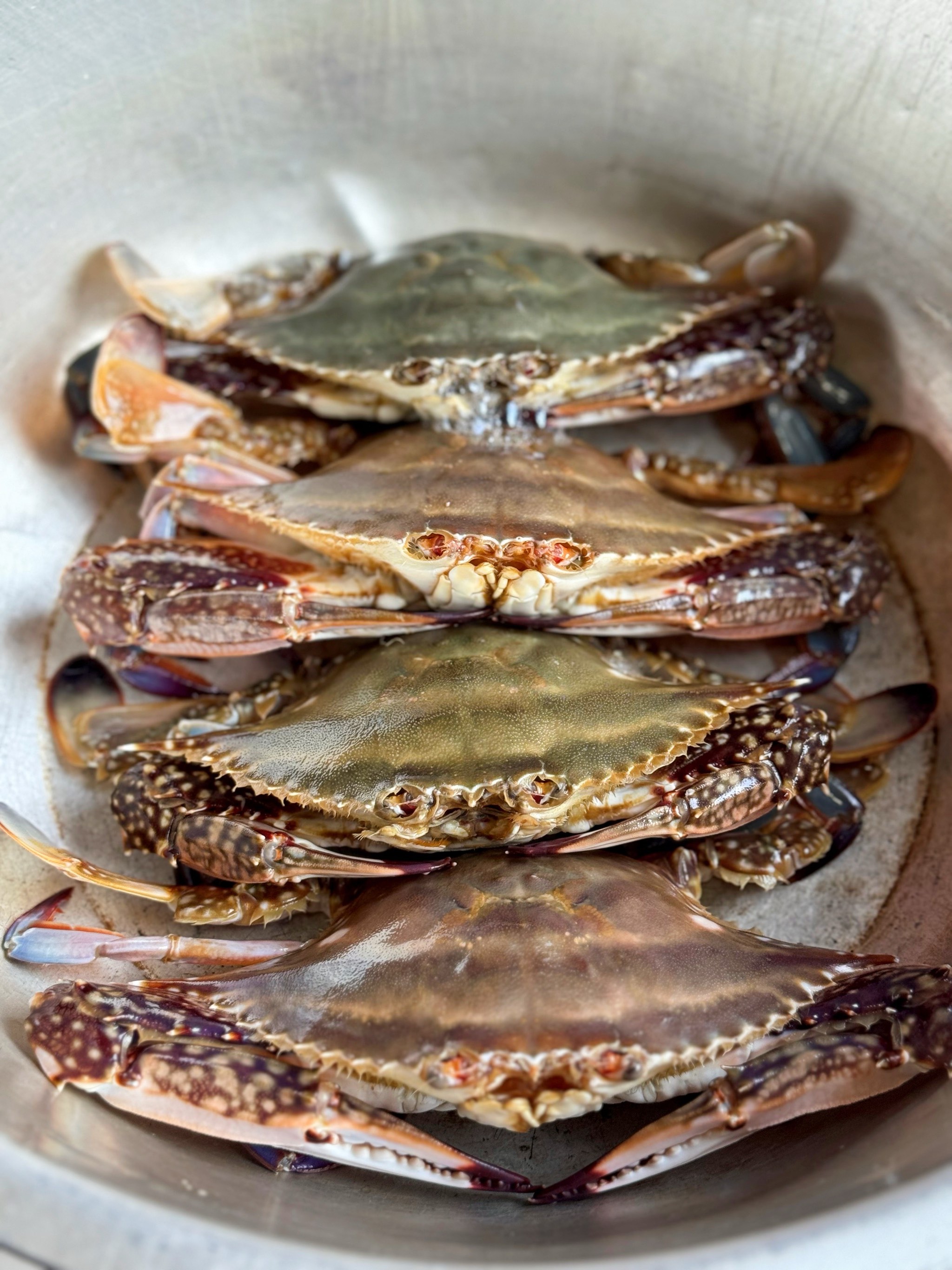 实探最后一家盒马X会员店！工作人员对将停业感意外：“此前生意很好”