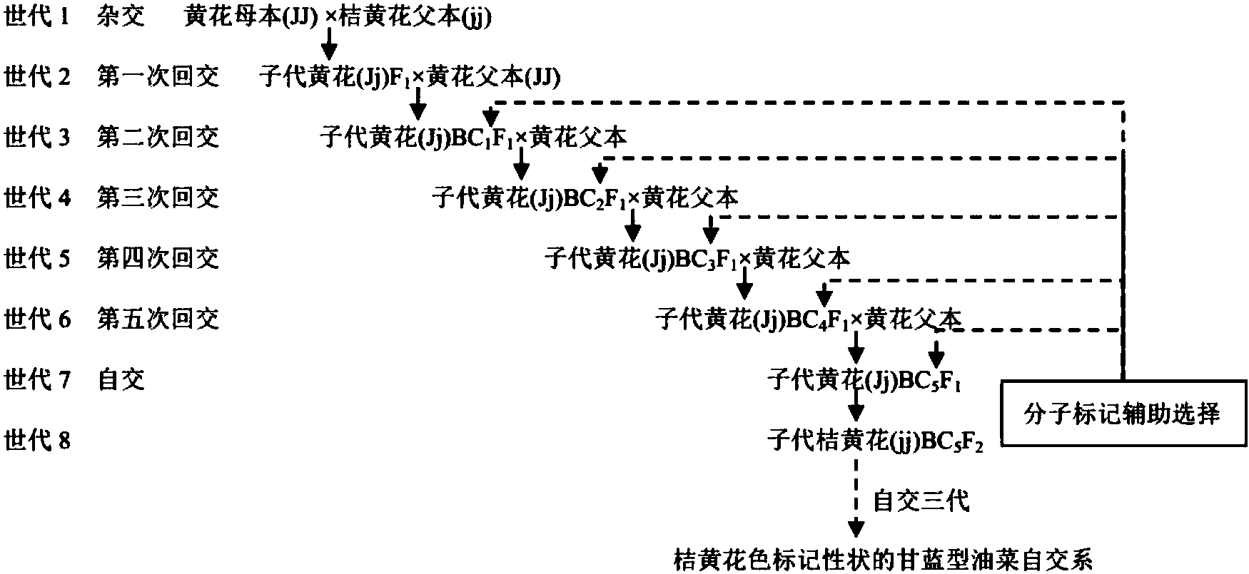 立华股份获得发明专利授权:“一种SNP分子标记组合在体斜长辅助育种中的应用”