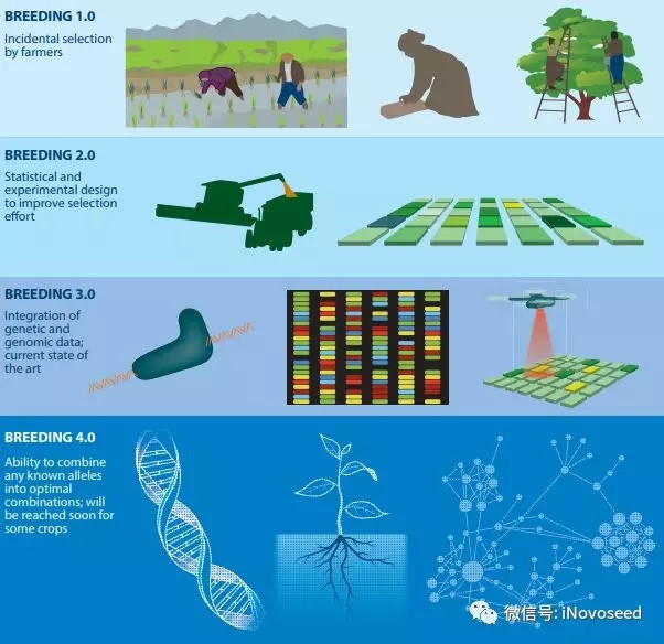立华股份获得发明专利授权:“一种SNP分子标记组合在体斜长辅助育种中的应用”