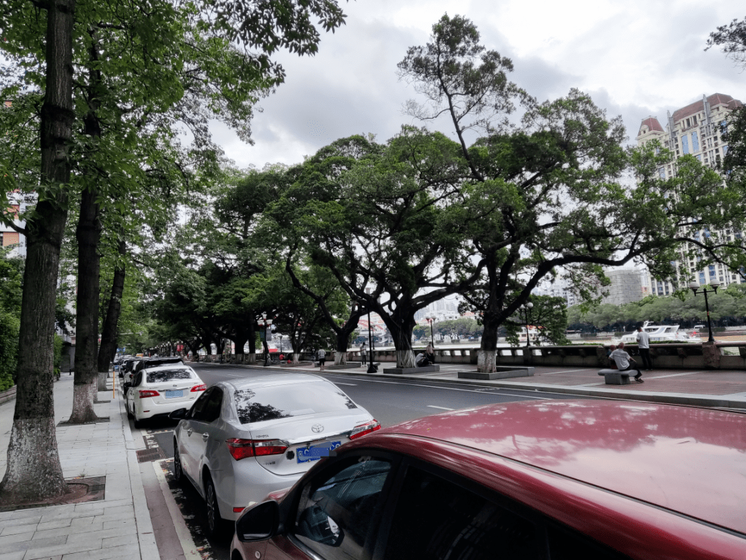 深圳核心区地标皇庭广场将被拍卖！记者实探→