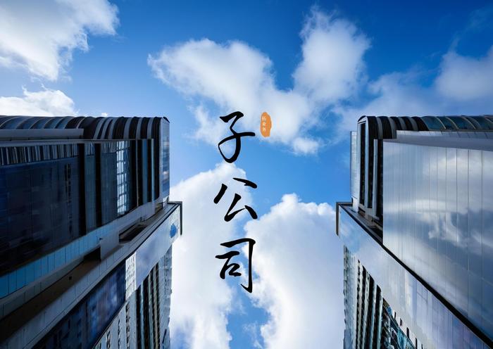 *ST创兴(600193)2025年中报简析:净利润减98.15%,三费占比上升明显